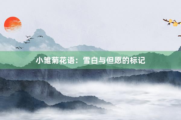 小雏菊花语：雪白与但愿的标记
