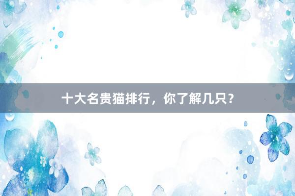 十大名贵猫排行,你了解几只?