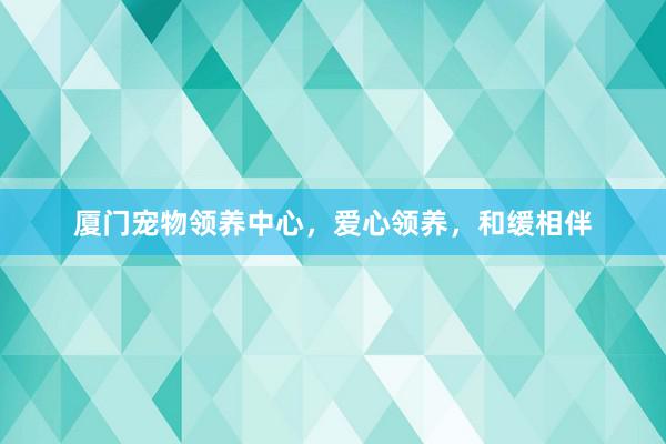 厦门宠物领养中心,爱心领养,和缓相伴